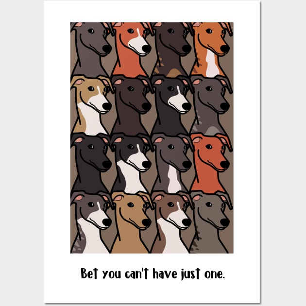 Greyhounds colors Wall Art by Iluvmygreyhound